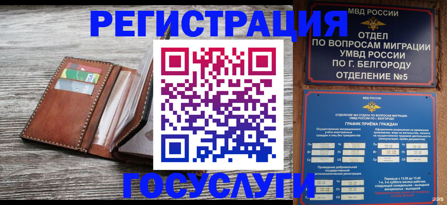 временная регистрация гарантия в Райчихинске